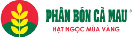 PBCM